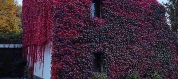 18-Zimmer Villa in Vicoforte, Italy, Nr. 7404 41