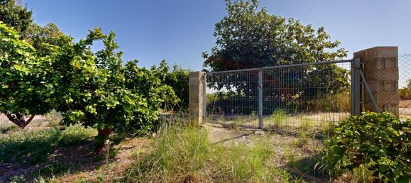 7 chambres Maison à Valencia, Spain No. 176831 19
