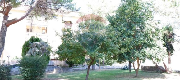 3 bedrooms Apartment in Caserta, Italy No. 344510 39