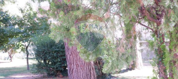 3 bedrooms Apartment in Caserta, Italy No. 344510 27