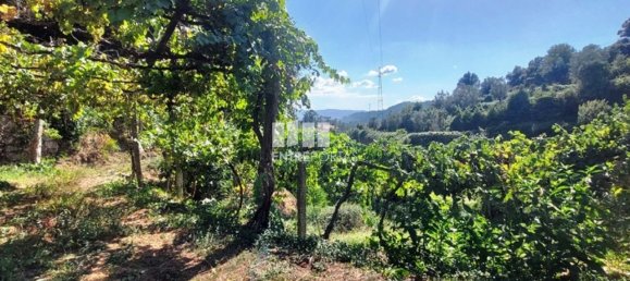 Grundstück in Arcos de Valdevez, Portugal 2592m², Nr. 299493 13