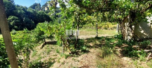 Grundstück in Arcos de Valdevez, Portugal 2592m², Nr. 299493 14