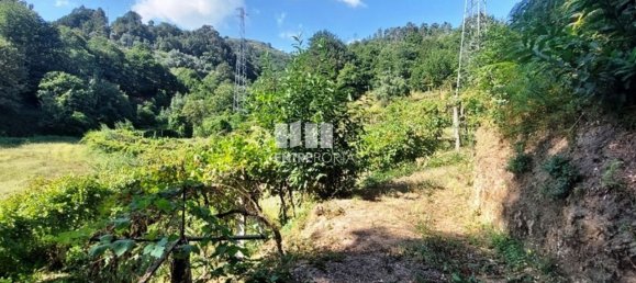 Grundstück in Arcos de Valdevez, Portugal 2592m², Nr. 299493 16