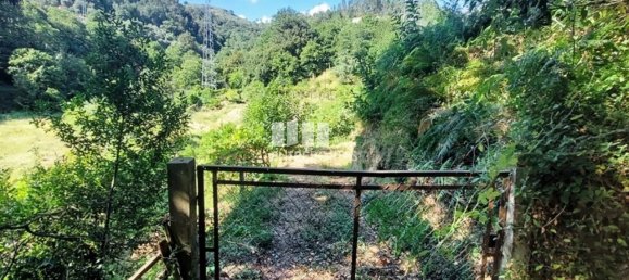 Grundstück in Arcos de Valdevez, Portugal 2592m², Nr. 299493 17