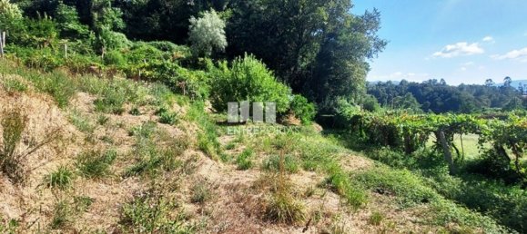 Grundstück in Arcos de Valdevez, Portugal 2592m², Nr. 299493 11