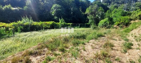 Grundstück in Arcos de Valdevez, Portugal 2592m², Nr. 299493 8