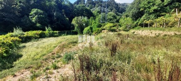 Grundstück in Arcos de Valdevez, Portugal 2592m², Nr. 299493 7