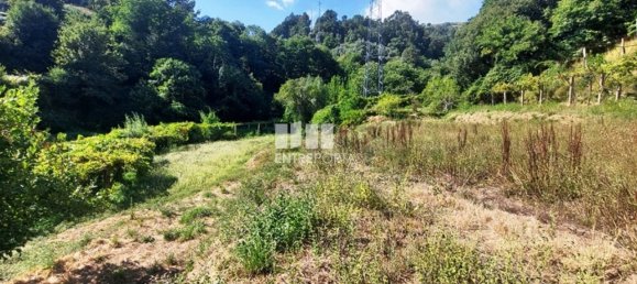 Grundstück in Arcos de Valdevez, Portugal 2592m², Nr. 299493 12