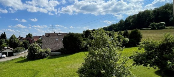 2-Zimmer Wohnung in Alb-Donau-Kreis, Germany, Nr. 4324 4