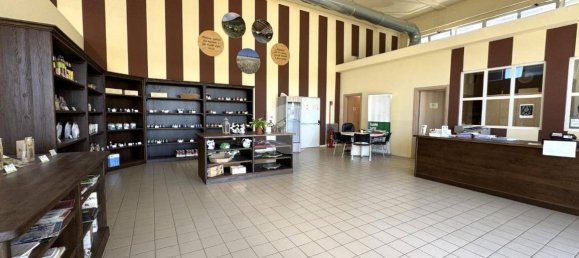 1500m² Warehouse in Agliè, Italy No. 270056 12