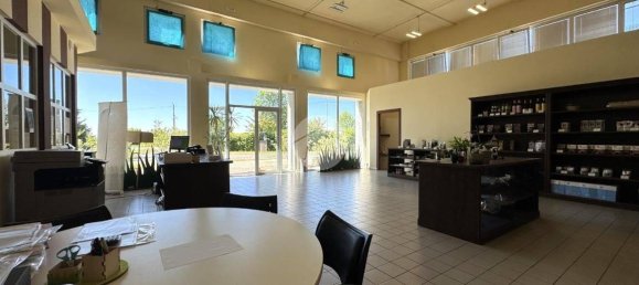 1500m² Warehouse in Agliè, Italy No. 270056 14