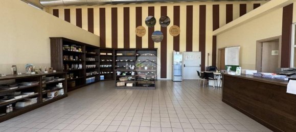 1500m² Warehouse in Agliè, Italy No. 270056 11