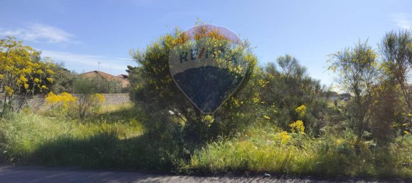 1 room Land in Belpasso, Italy No. 166163 6