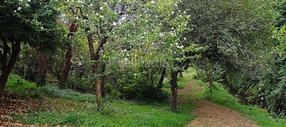 4 Schlafzimmer Haus in Naron, Spain, Nr. 189729 17