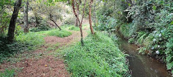 4 Schlafzimmer Haus in Naron, Spain, Nr. 189729 19