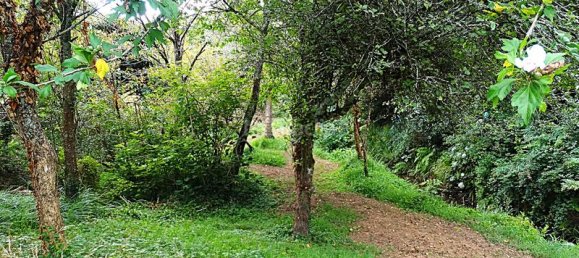 4 Schlafzimmer Haus in Naron, Spain, Nr. 189729 18