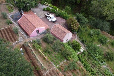 3 غرف نوم منزل في Ribeira Brava, Portugal رقم 249071