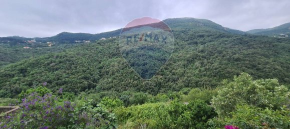 Дом с 6 спальнями в Ноли, Италия № 192090 27