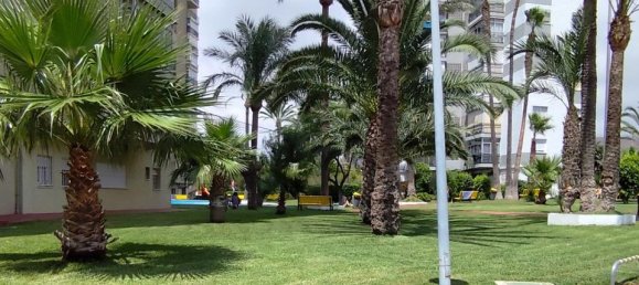 1 Schlafzimmer Wohnung in Benidorm, Spain, Nr. 146460 29