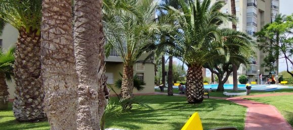 1 Schlafzimmer Wohnung in Benidorm, Spain, Nr. 146460 31