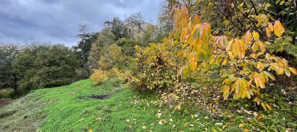 1271m² Land in Oletta, France No. 93945 6