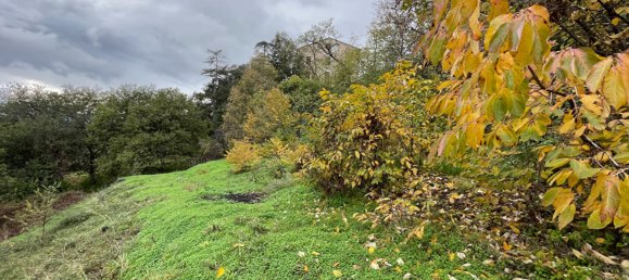 1271m² Land in Oletta, France No. 93945 5