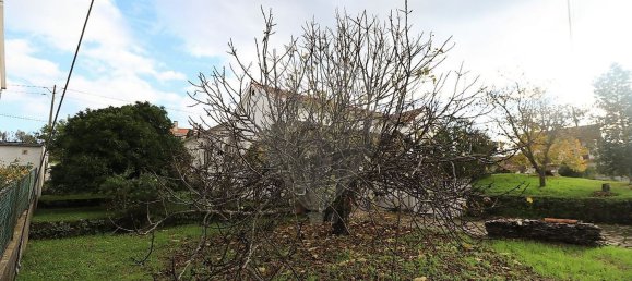 9 bedrooms House in Peraboa, Portugal No. 181892 14