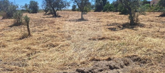 4800m² Land in Soalheira, Portugal No. 82893 6