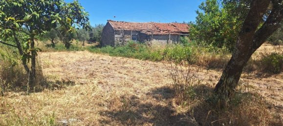 4800m² Land in Soalheira, Portugal No. 82893 2