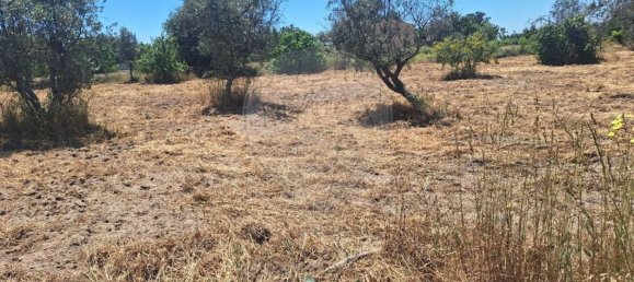 4800m² Land in Soalheira, Portugal No. 82893 5