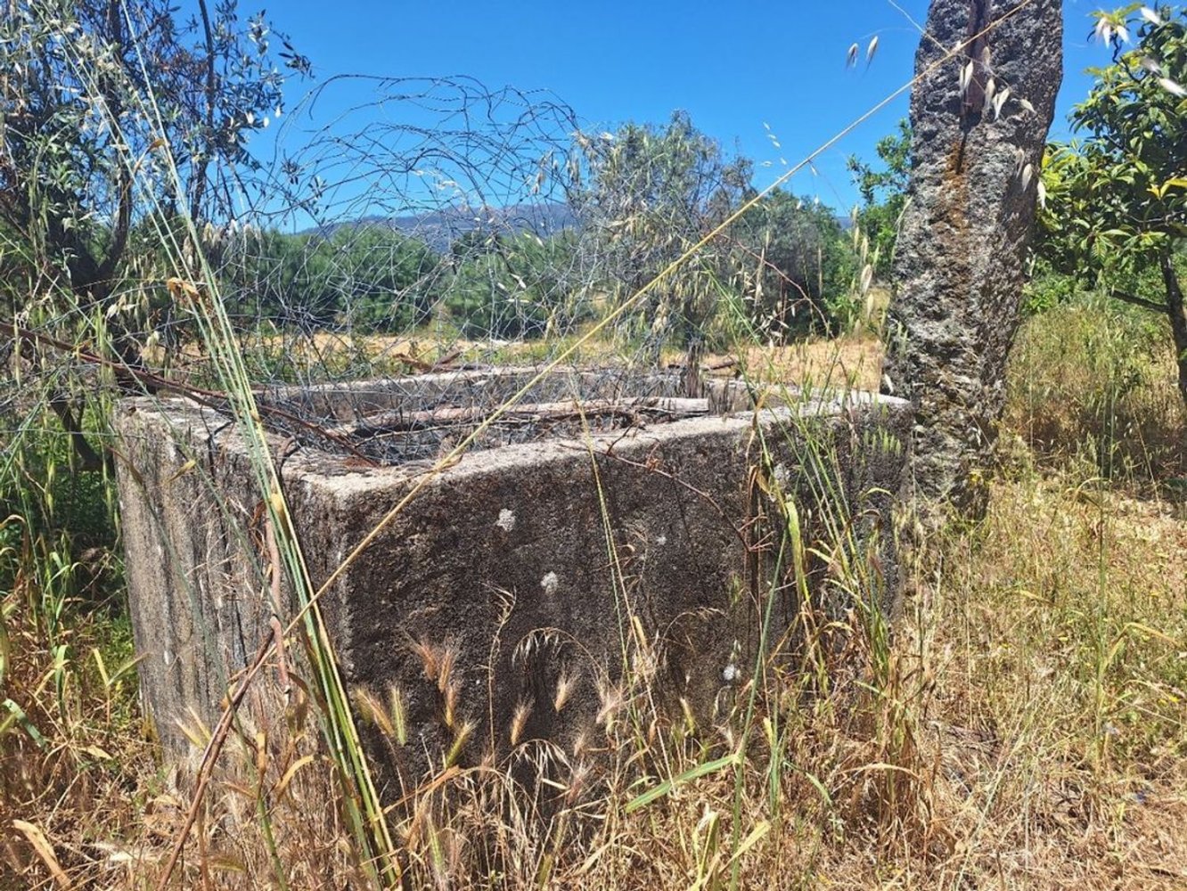 4800m² Land in Soalheira, Portugal No. 82893