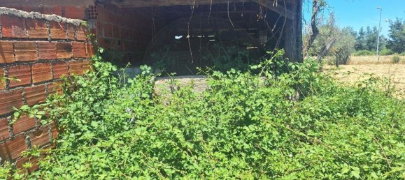 4800m² Land in Soalheira, Portugal No. 82893 3