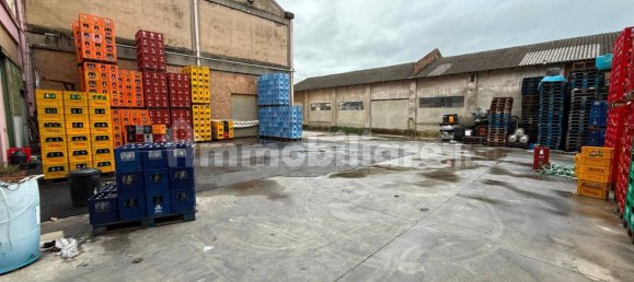 4 rooms Warehouse in Tresignana, Italy No. 307890 11