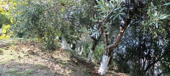 Maison de ville à Corfu, Greece 175m² No. 5456 16