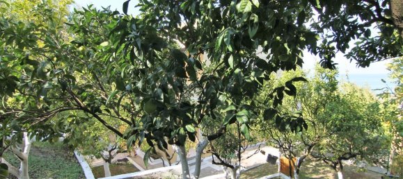 Maison de ville à Corfu, Greece 175m² No. 5456 6