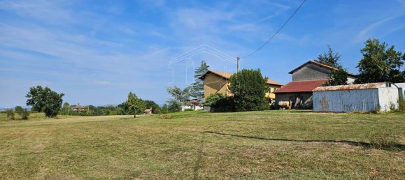 12غرفة فيلا في Carpeneto, Italy رقم 144343 24