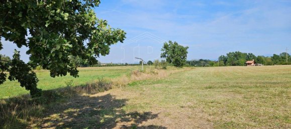 12غرفة فيلا في Carpeneto, Italy رقم 144343 23