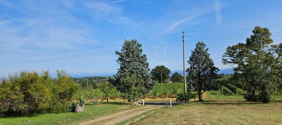 12غرفة فيلا في Carpeneto, Italy رقم 144343 4