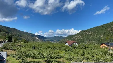 Gewerbliche Immobilie in Aggsbach, Austria 1307m², Nr. 246016