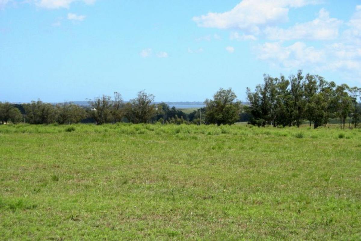 10m² Farm in Maldonado, Uruguay No. 16162