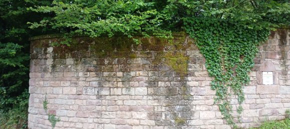 3 chambres Maison à Passavant-la-Rochère, France No. 272035 11