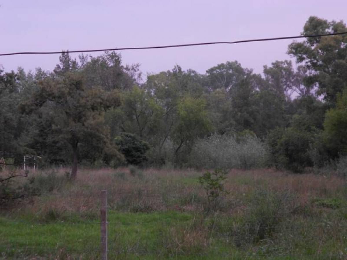 Terreno em Marcos Paz, Argentina N.º 43252
