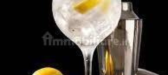 3-Zimmer Gewerbliche Immobilie in Monza, Italy, Nr. 101187 29