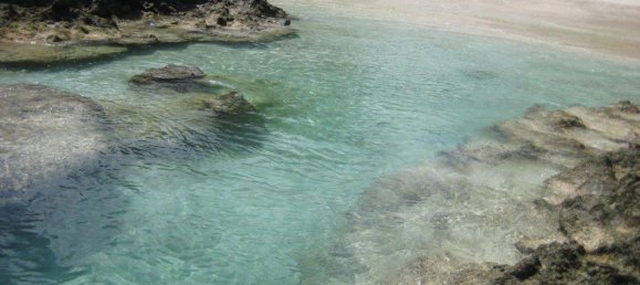 14580m² Land in Port-Vila, Vanuatu No. 139 2