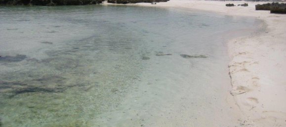 14580m² Land in Port-Vila, Vanuatu No. 139 7