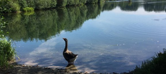  قطعة أرض في Gutersloh, Germany رقم 295831 4