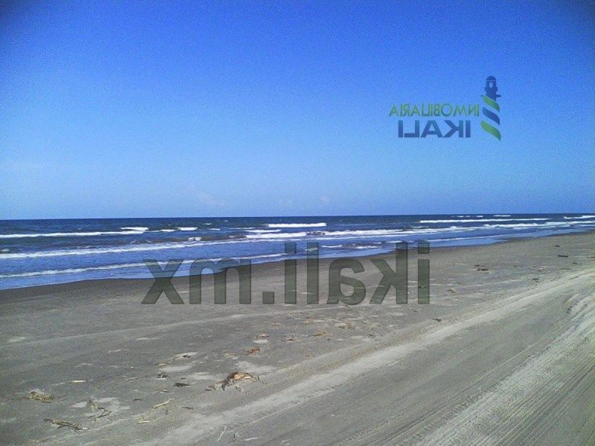  Land in Veracruz, Mexico No. 205918