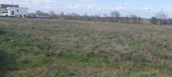 Земельный участок в Гензерндорф, Австрия № 203866 2