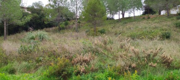 Terreno en Sant Llorenc D'hortons, Spain 495 m² No. 158912 35