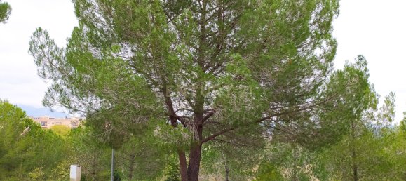 Terreno en Sant Llorenc D'hortons, Spain 495 m² No. 158912 28